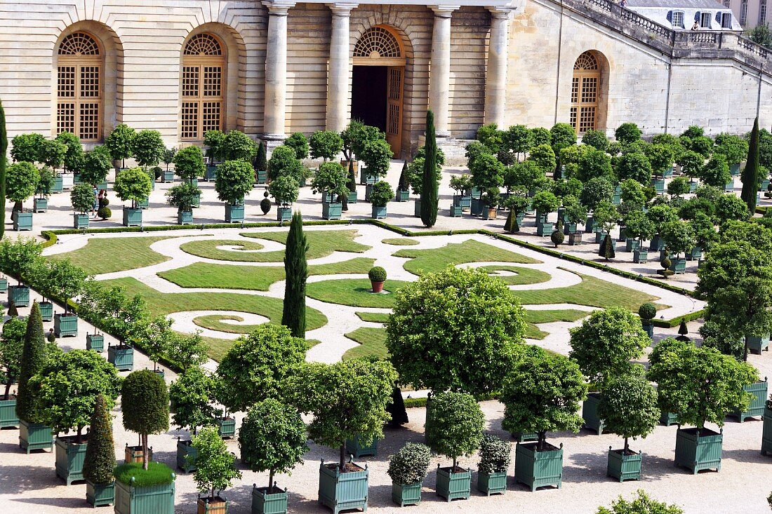 A view of the Orangerie (Palace of Versailles)