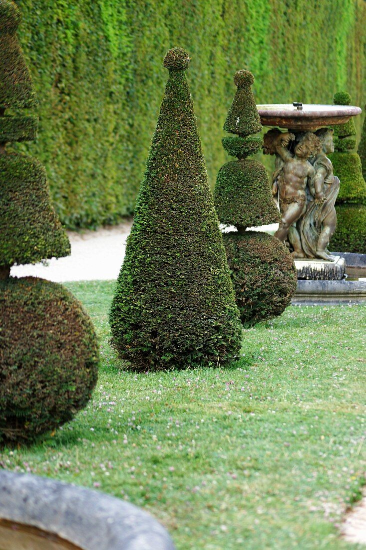 Topiarised boxtrees and a fountain in in the Garden of the Palace of Versailles