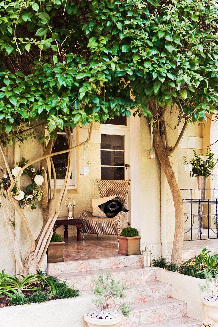Möblierte Veranda mit gefliestem Boden vor alter Villa, an Aussenfassade Spalierbaum