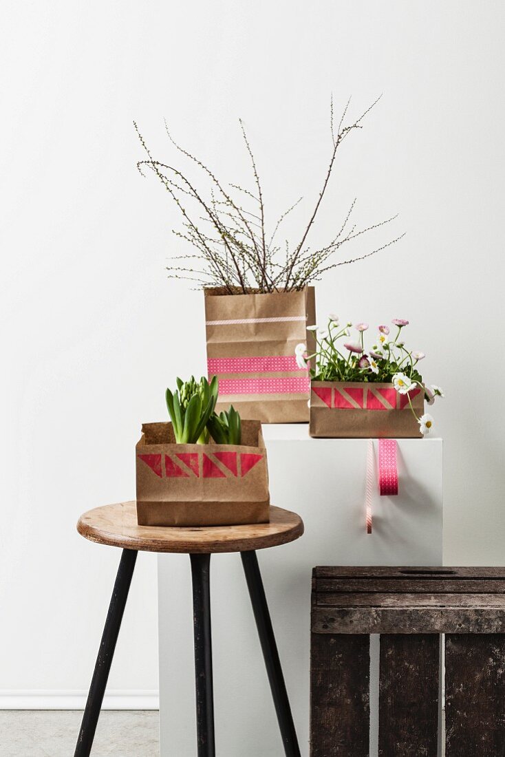 Potted plants in paper bags printed with graphic patterns on stool and plinth