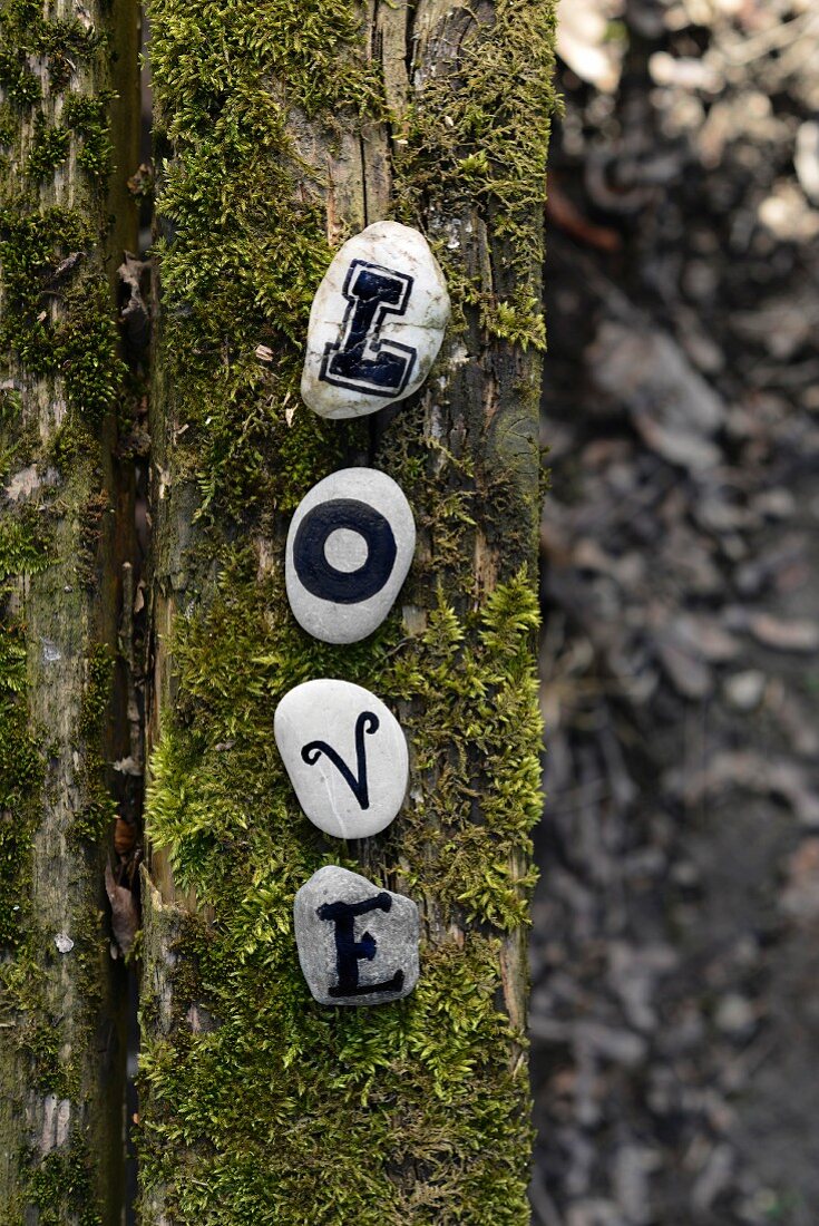 Letters on pebbles on mossy log