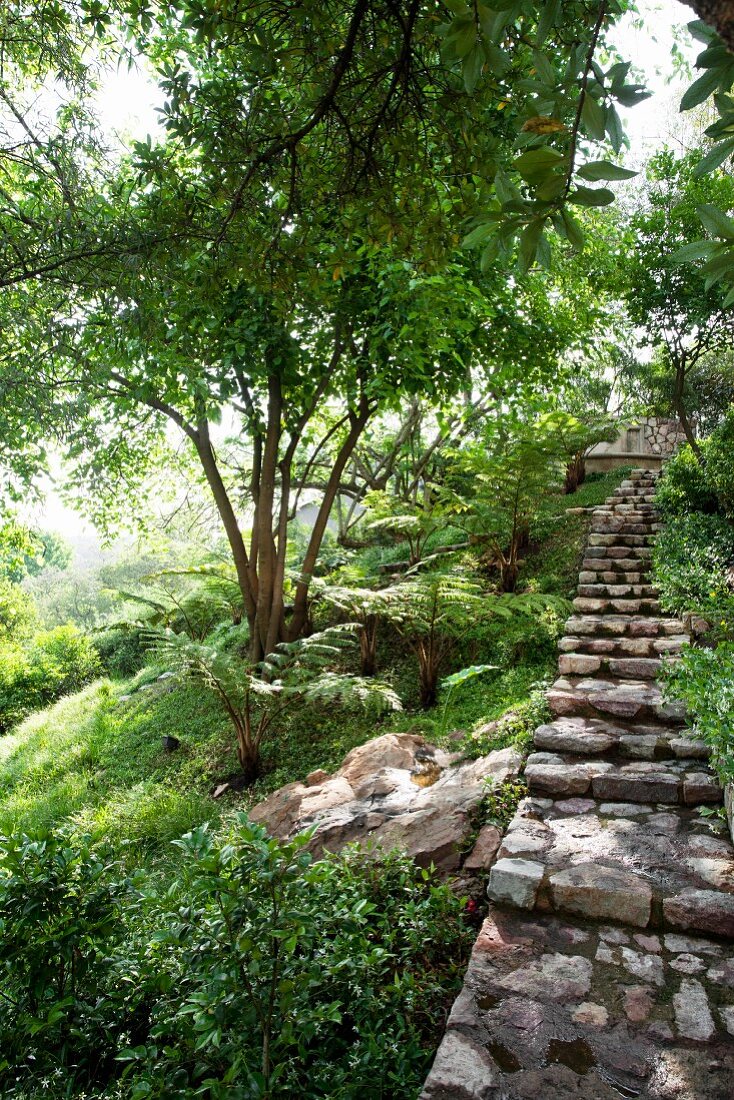 Steep steps in woodland-style garden