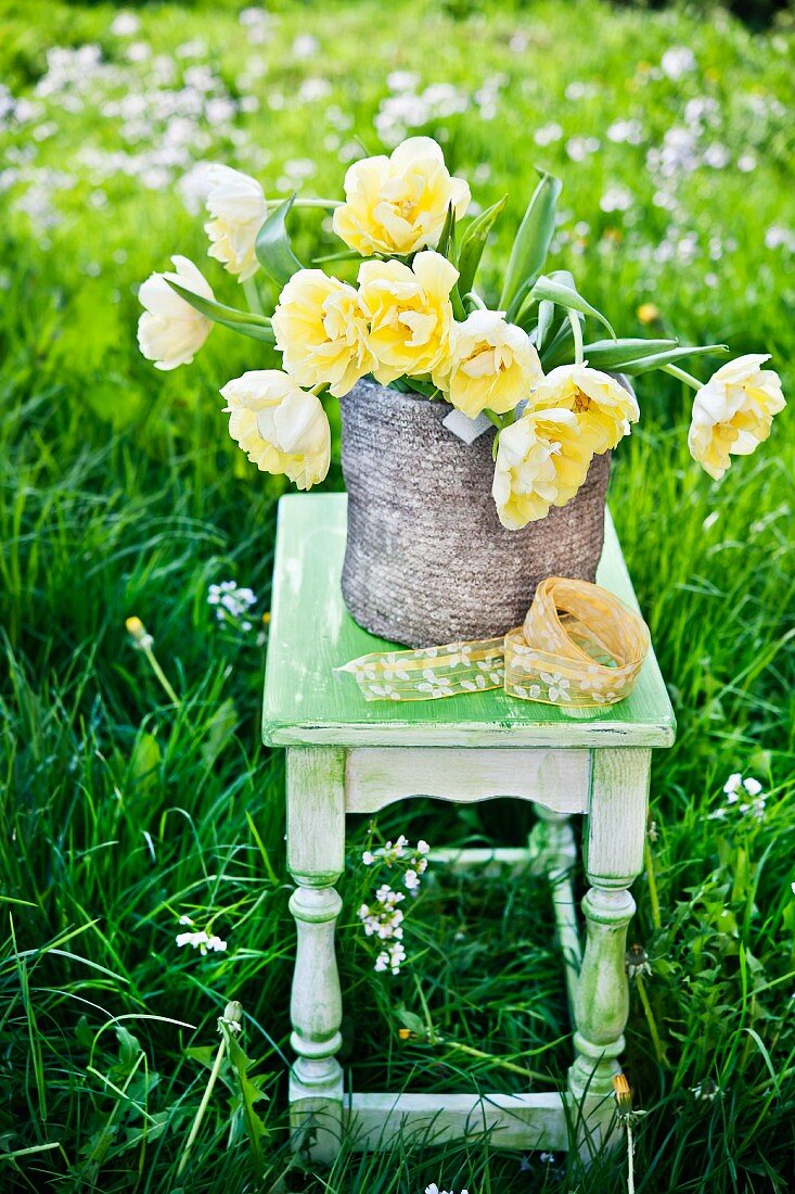 Yellow tulips on wooden stool on lawn