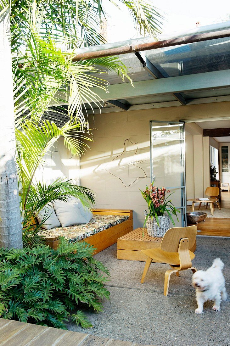 Tagesbett, Kistentisch und 50er Jahre Schichtholzstuhl auf Terrasse mit Palme