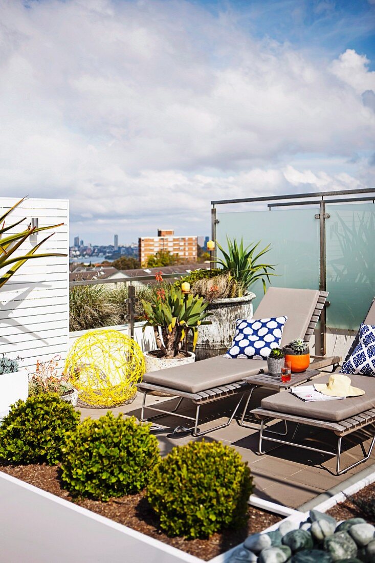 Sun loungers with grey cushions next to box balls in trough on roof terrace