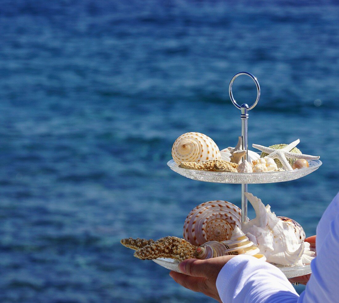 Seashells on cake stand held in hands in front of ocean backdrop