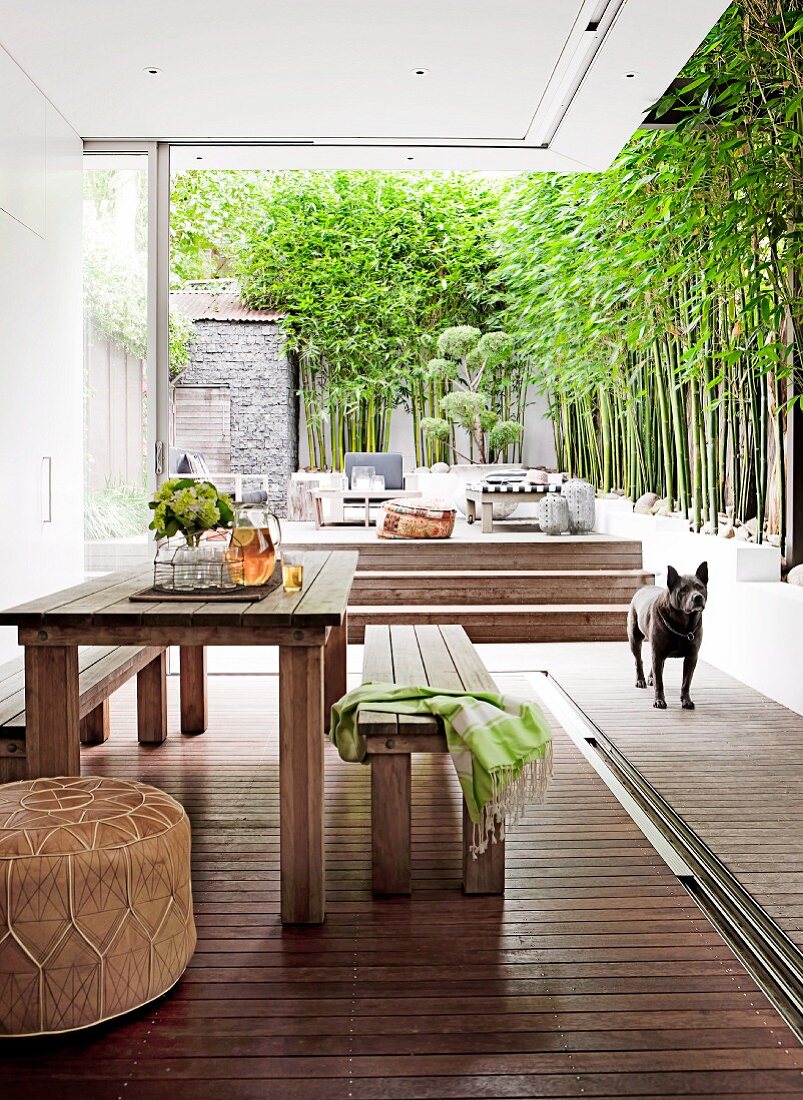 Modern courtyard; rustic table and benches next to open glass wall, dog standing in front of wooden terrace with steps and tall bamboo against garden wall
