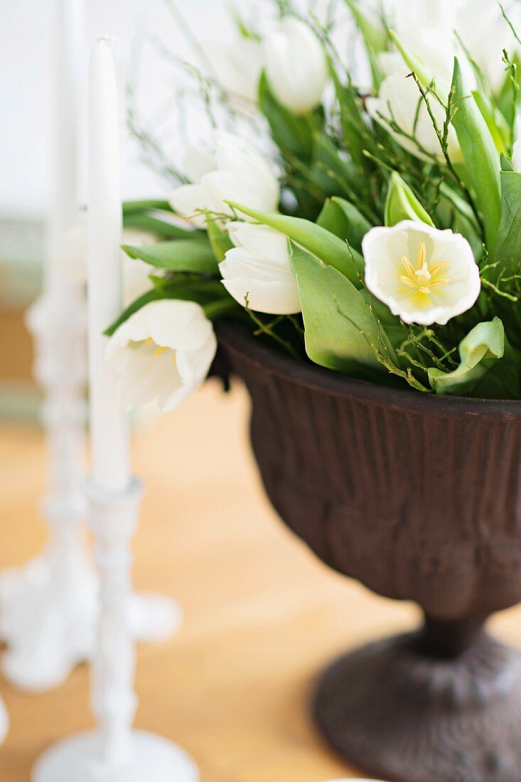 weiße Tulpen in Amphore