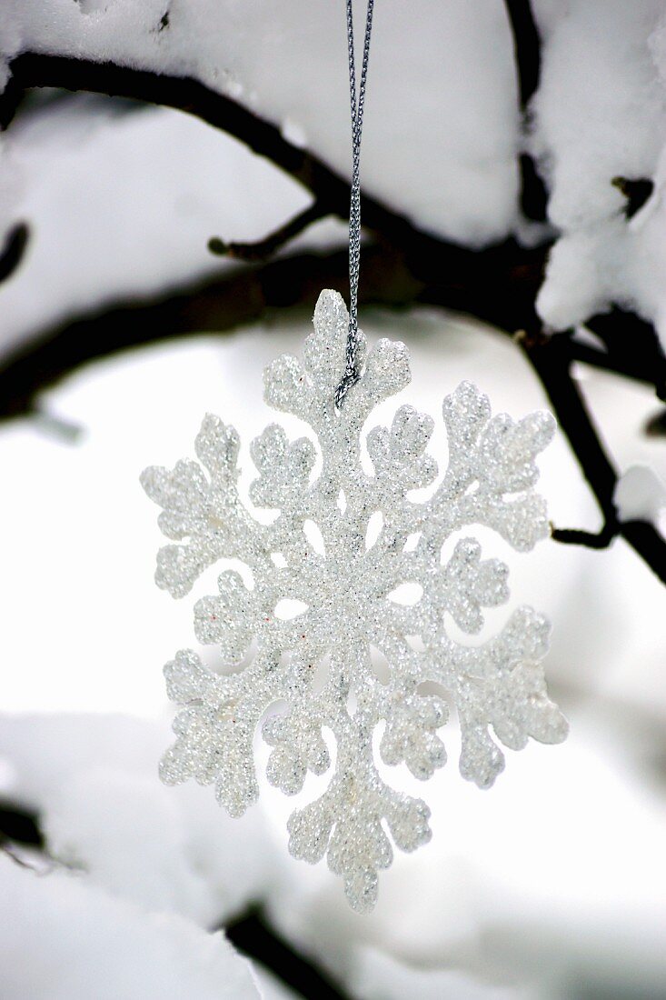 Eiskristall-Anhänger am schneebedeckten Baum