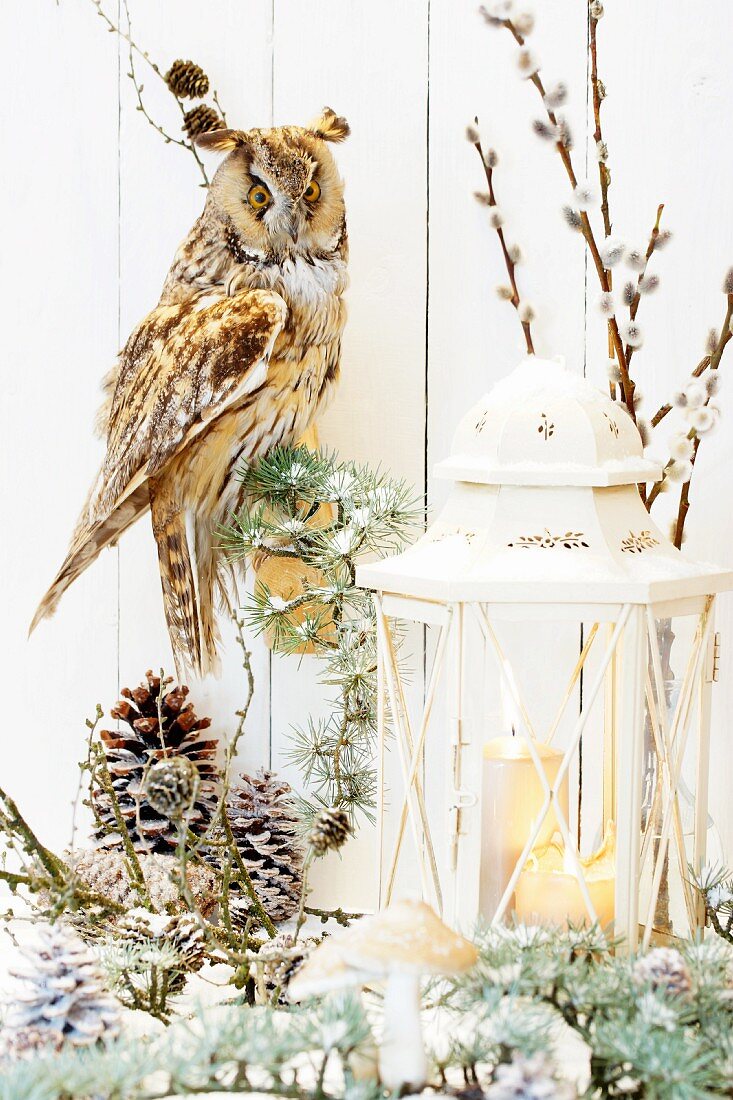 Woodland romanticism - candle lantern, stuffed eagle owl, mushroom ornaments and pie cones