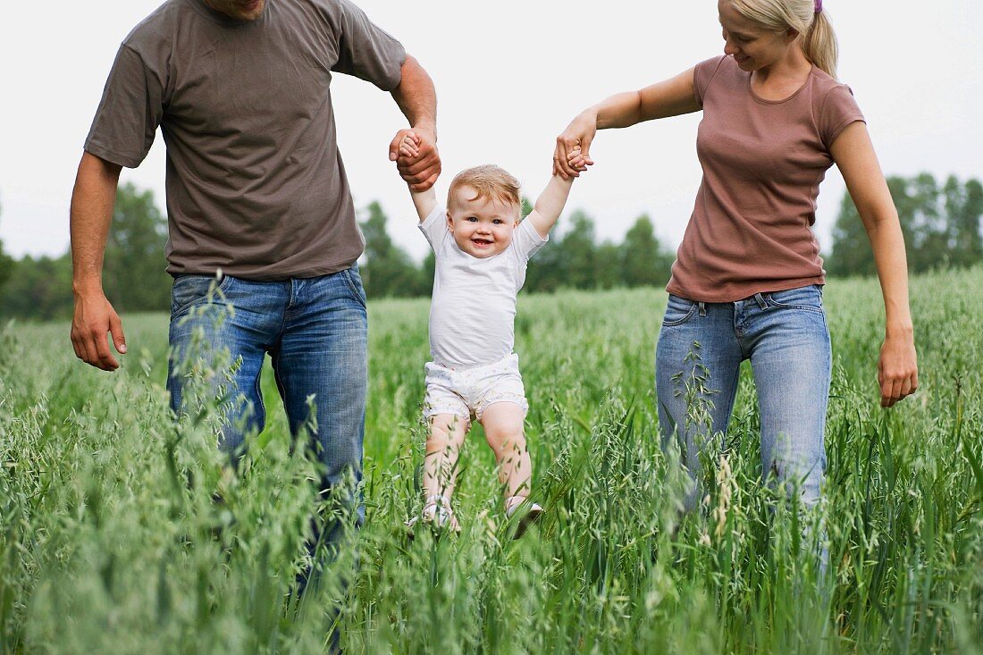 Junge Eltern heben lachendes Kleinkind in die Luft in hohem Gras