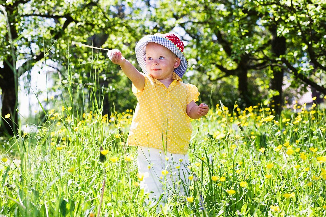 Ein Kleinkind auf sommerlicher Blumenwiese