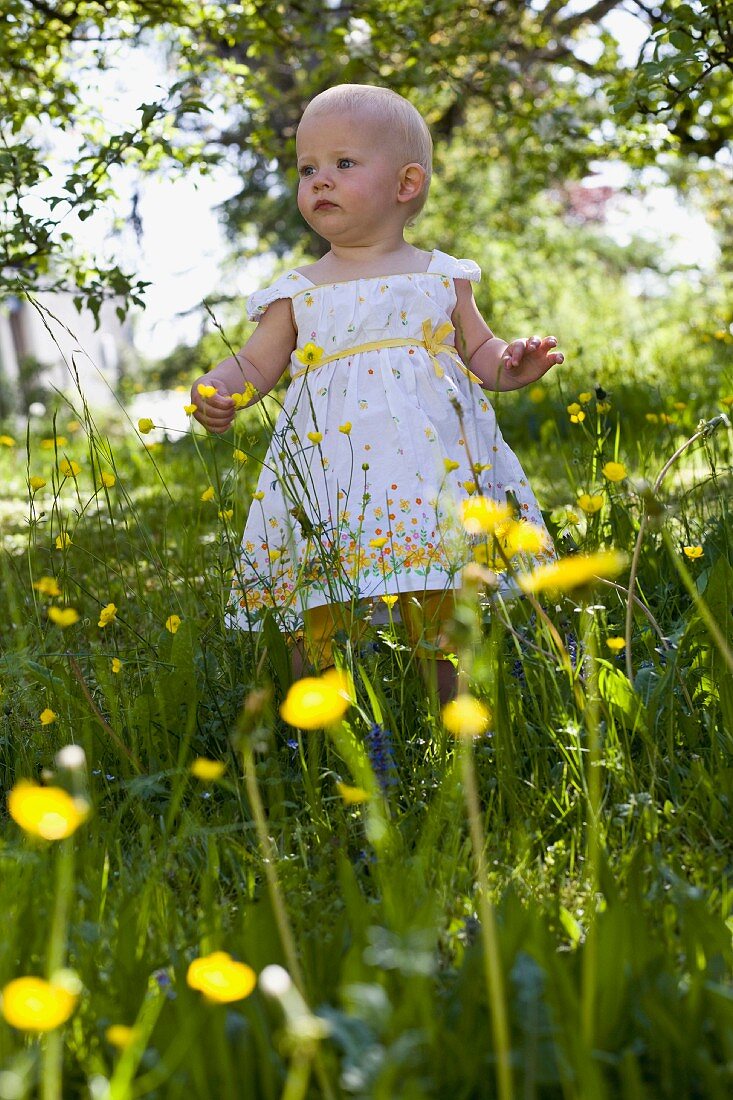 Kleinkind steht auf sommerlicher Blumenwiese