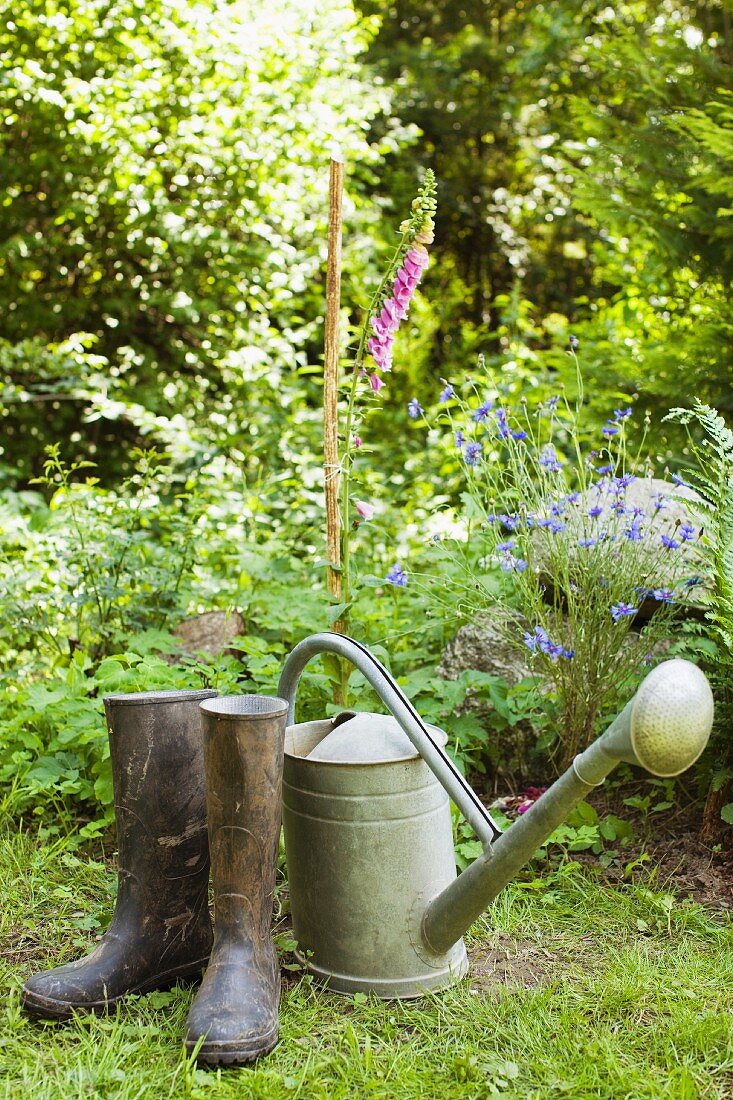 A watering can and a pair of wellington boots in garden