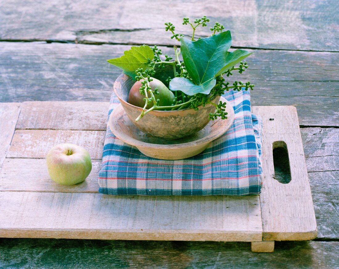 Apple, pear & ivy in bowls on table outdoors