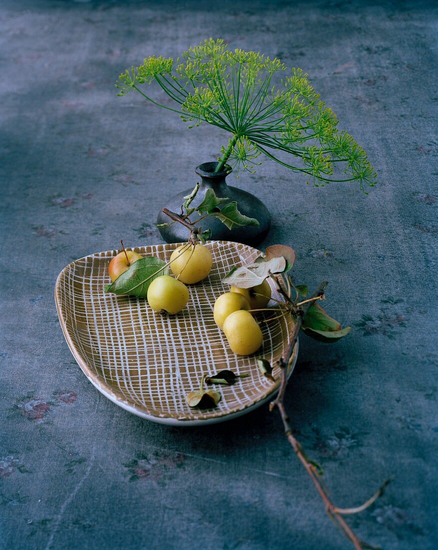 Crab apples on decorative plate & dill umbel in vase