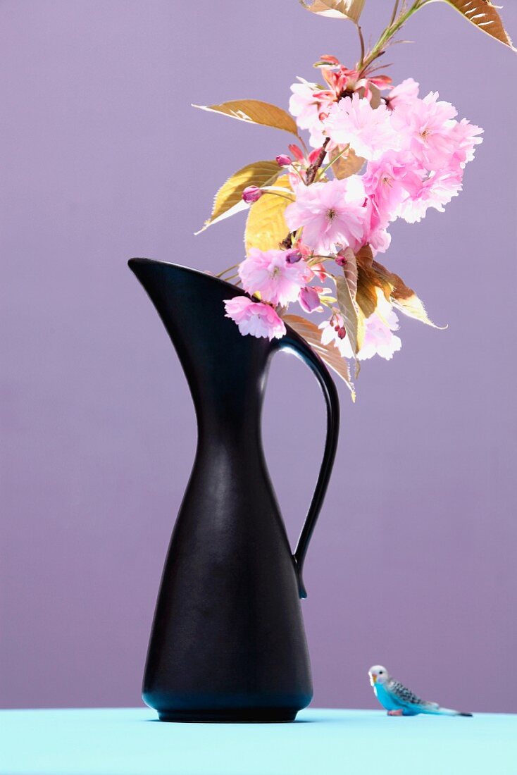 Schwarze Vase mit blühendem Kirschzweig und Wellensittichfigur vor violettem Hintergrund
