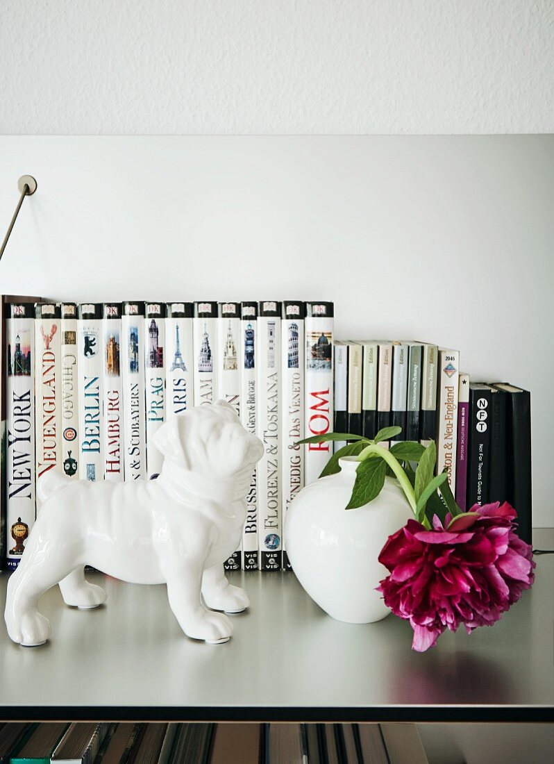 Hundefigur aus weißem Porzellan neben Vase mit fuchsiafarbener Pfingstrose vor Büchersammlung auf Ablage aus Edelstahl