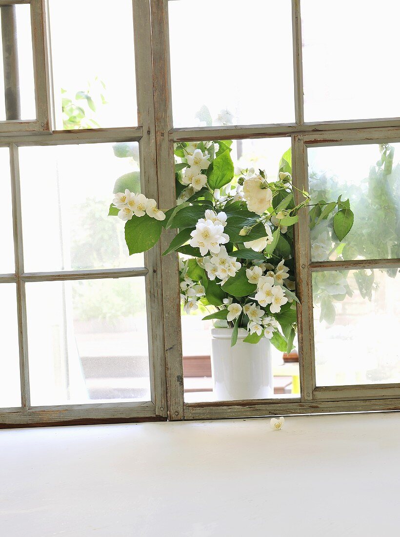 A bunch of jasmine on a windowsill