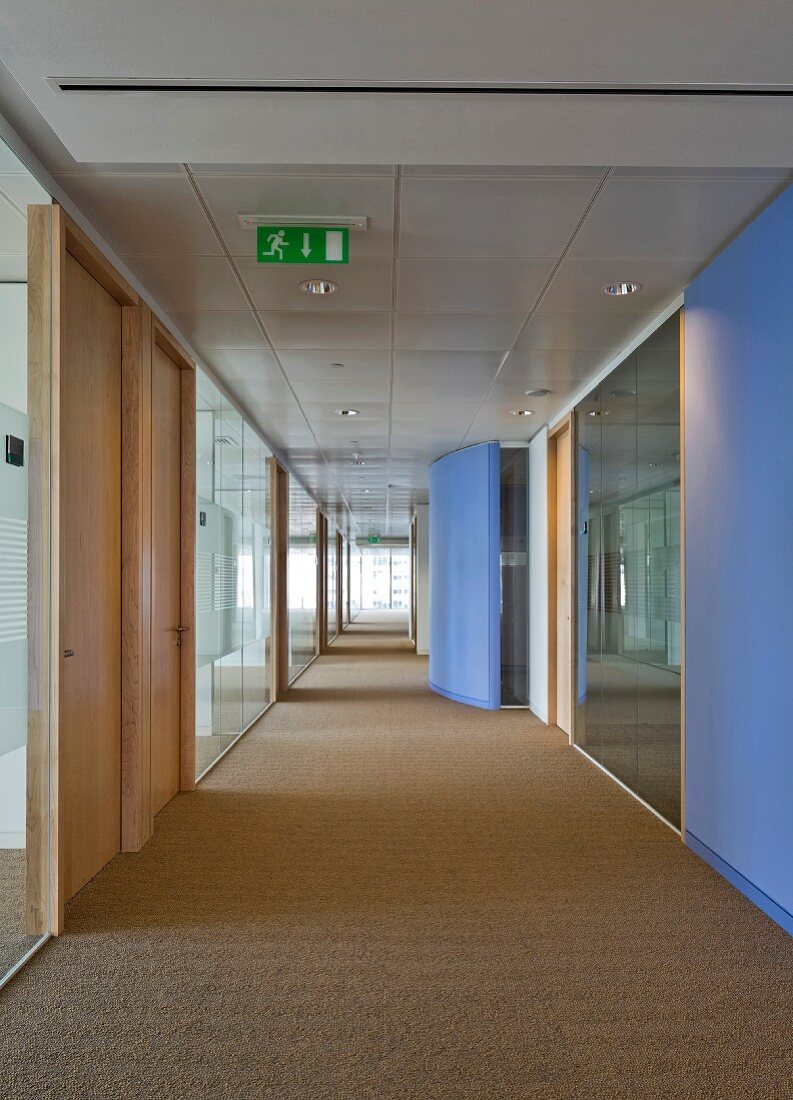 Lavendelblaue Wandelemente in langem, freundlichem Gang mit Fenster am Ende und Seitenlicht über verglaste Büroräume