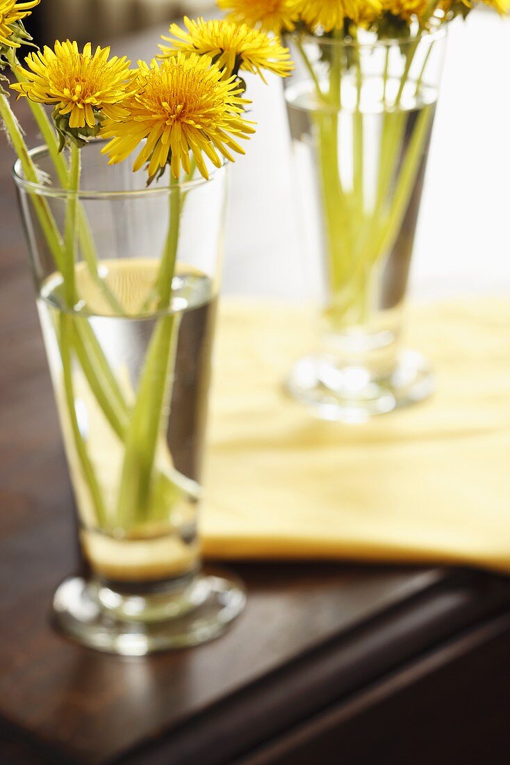 Dandelions in Glasses on a Table