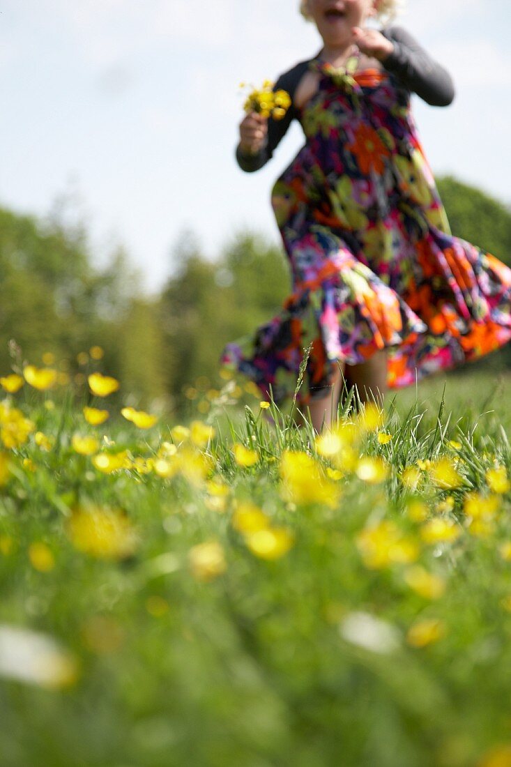 A girl picking buttercups in a field