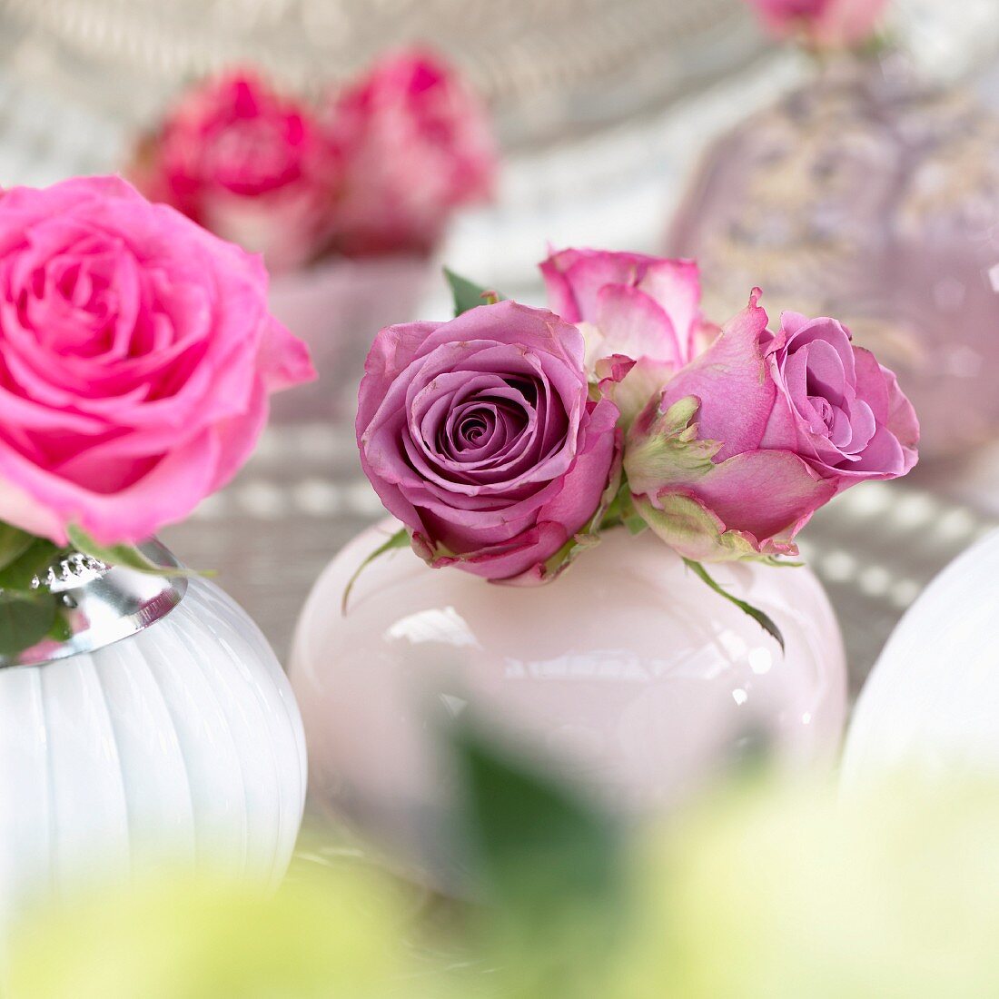 Pink roses in vases