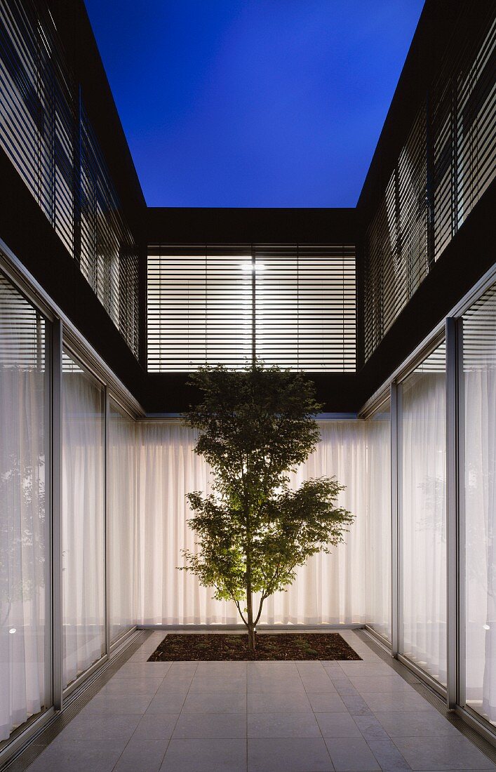 Modern gestalteter Innenhof mit einzelnem Baum in Abendstimmung und geschlossenen Vorhängen an Terrassenfenstern