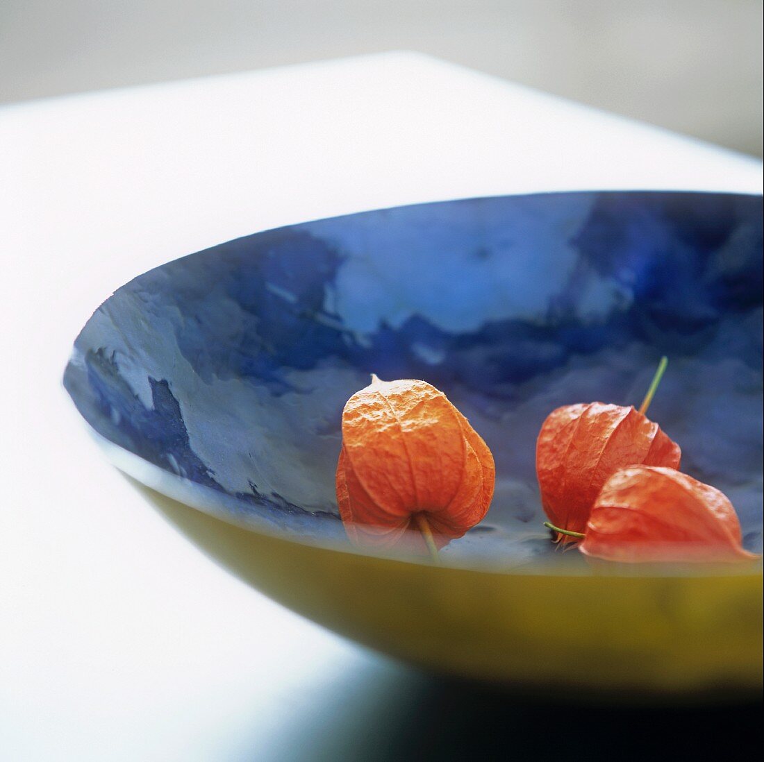 Red physalis flowers in a shiny bowl