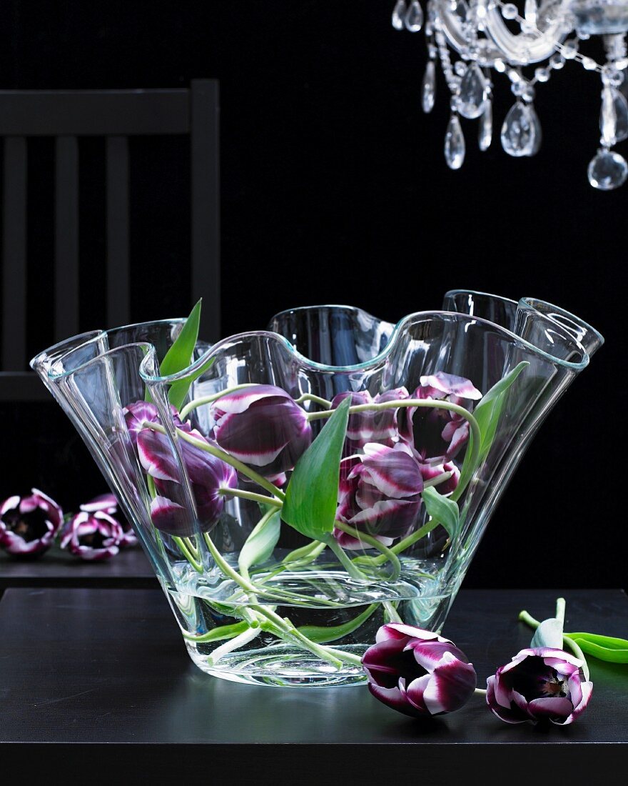 Tulips in an elegant glass bowl