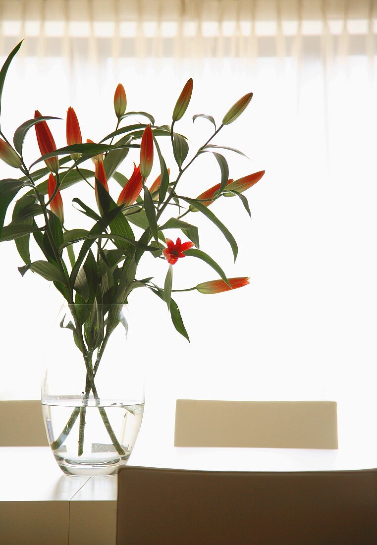 Glasvase mit rotblühendem Lilienstrauss im Gegenlicht auf modernem Esstisch