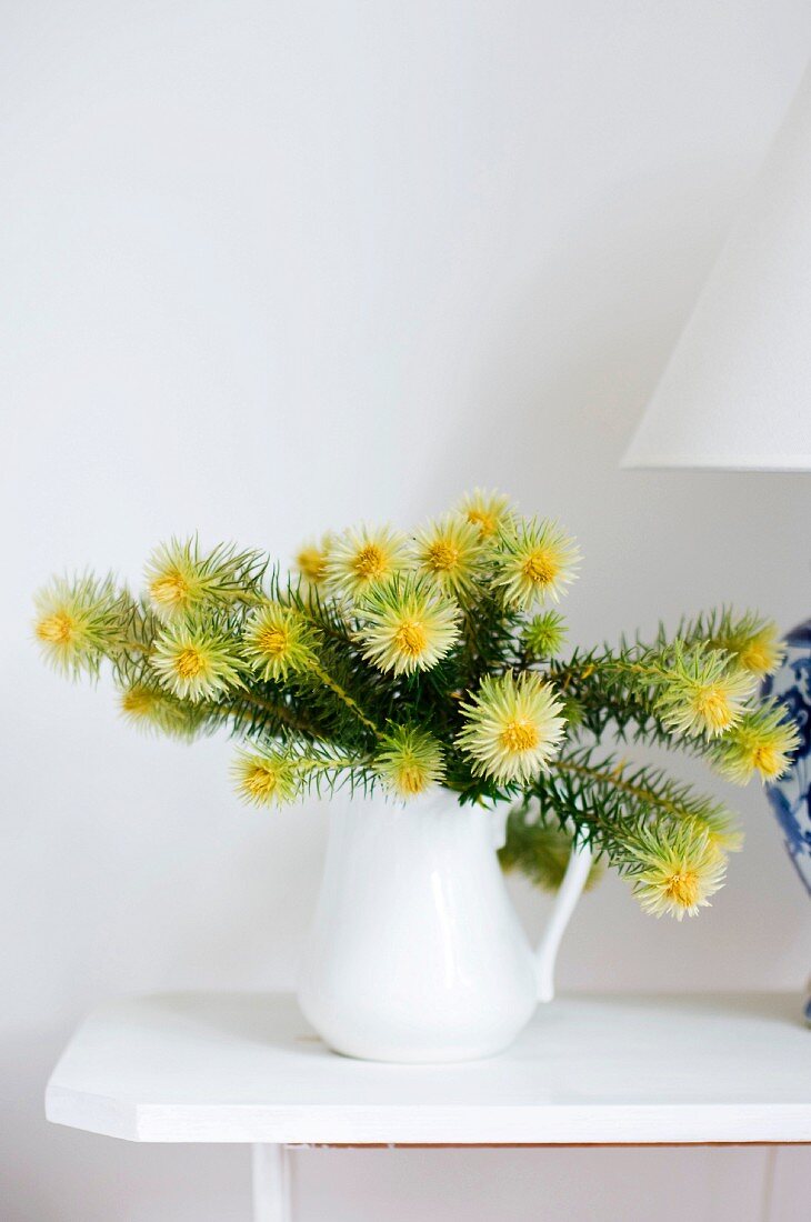 Yellow flowers in white jug