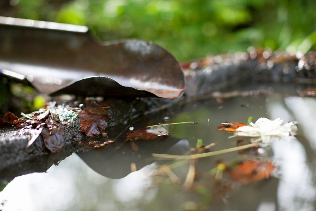 Brunnen im Garten