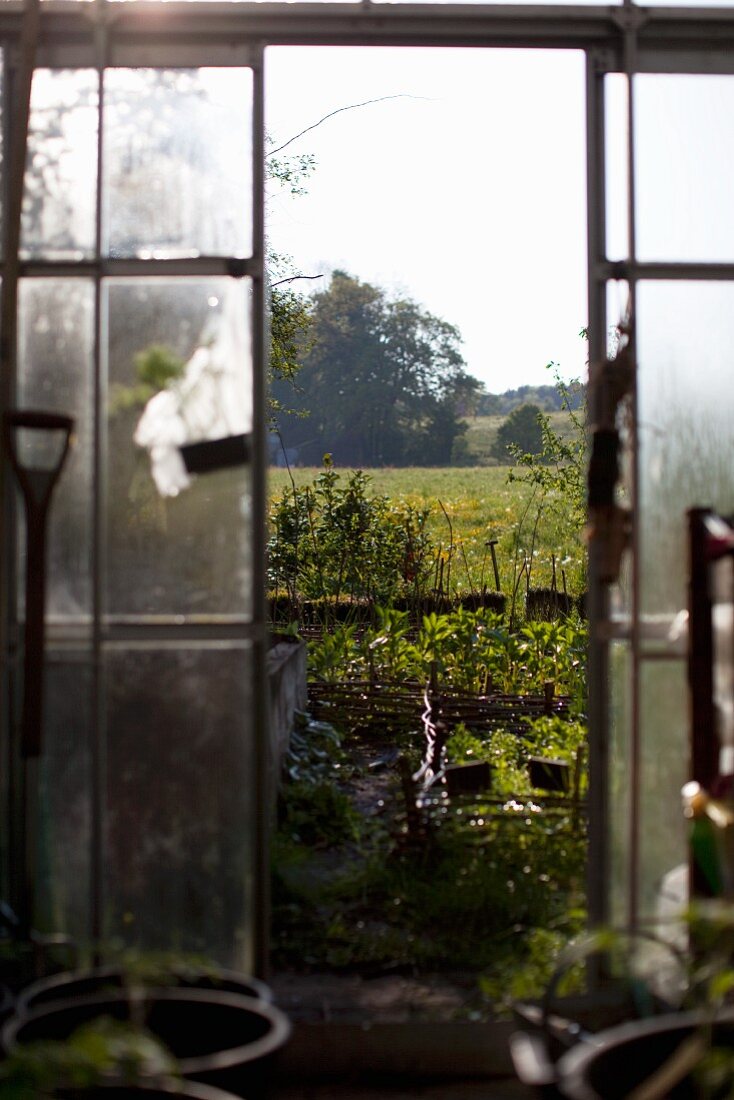 Blick vom Gewächshaus in den sommerlichen Garten