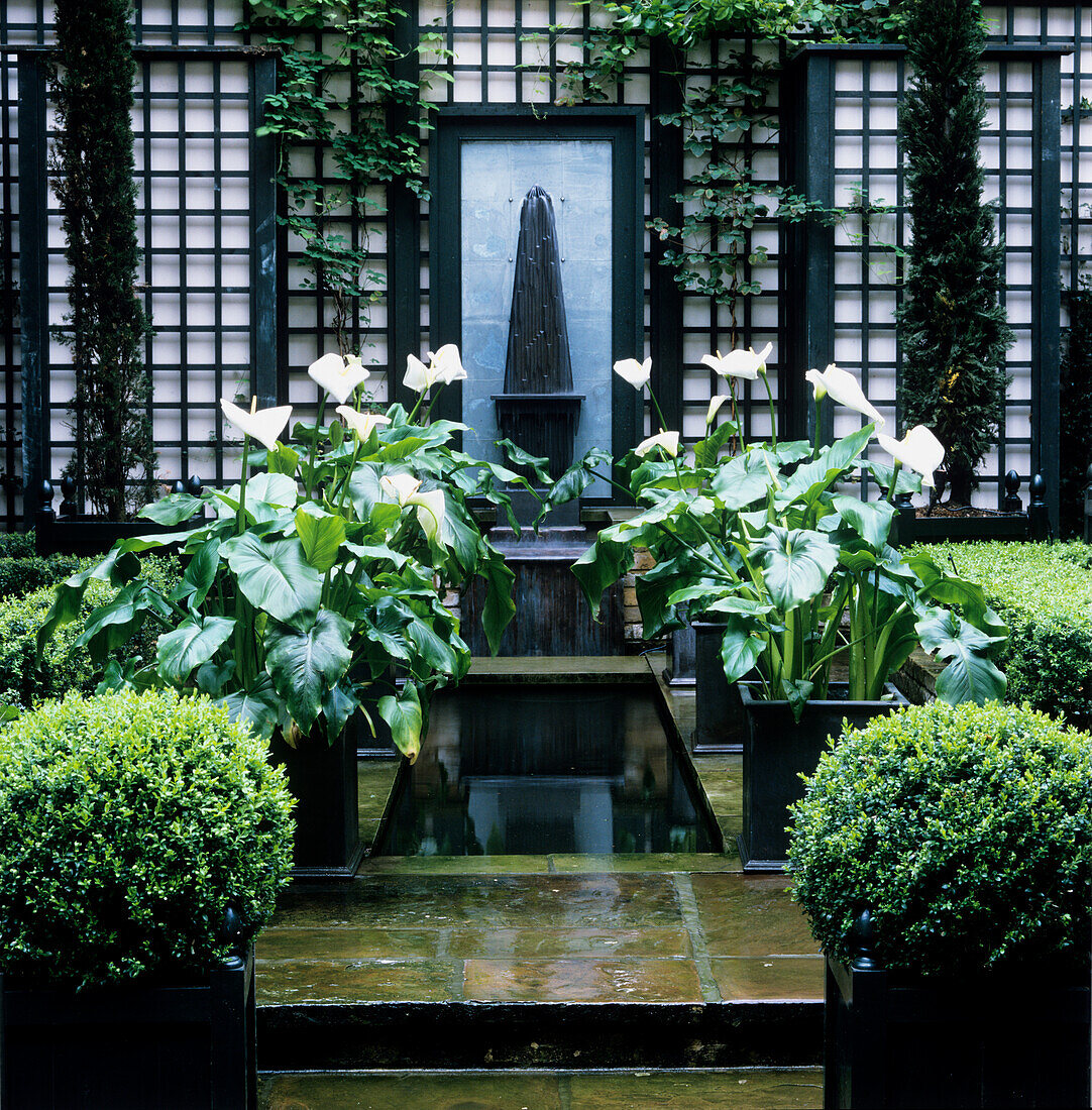 Water feature and plants in inner courtyard