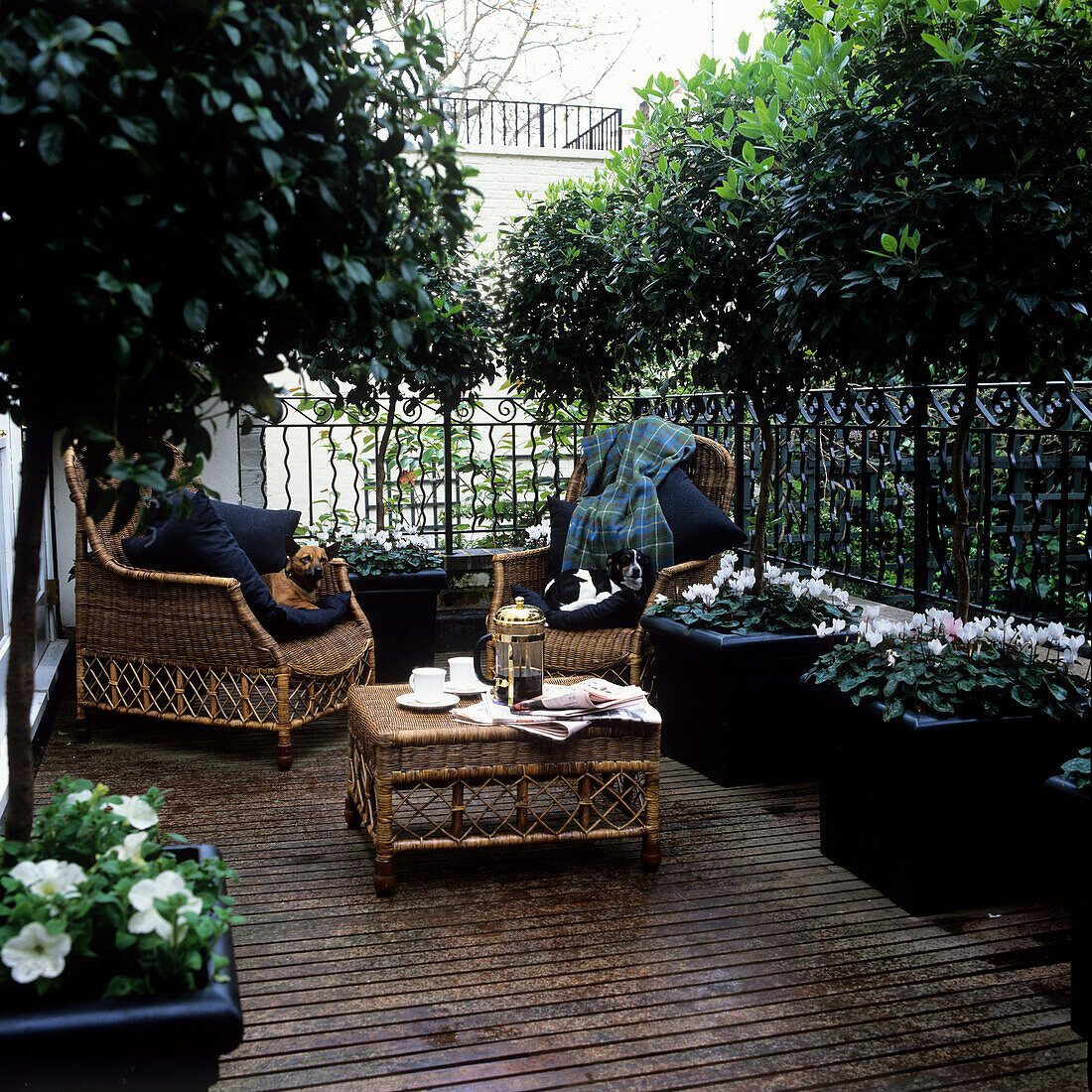 Terrasse mit Rattanmöbeln und blühenden Topfpflanzen