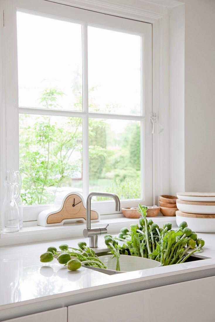Moderne, weiße Küche in renoviertem Landhaus mit einem Strauss Mohnblumen in der Spüle, Uhr und Holzschalen im Hintergrund