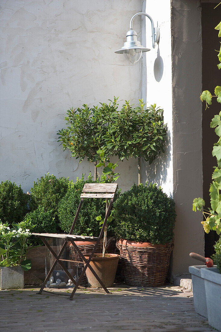 Wooden folding chair next to decorative bushes and a wall lantern