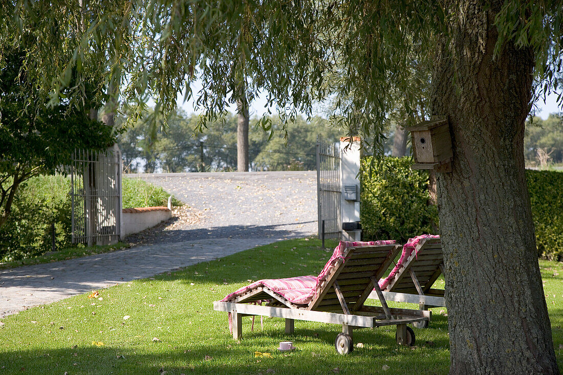 Deckchairs and birdhouse in the sunny garden