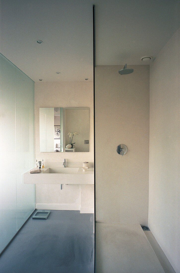 Modernes Bad mit Glastrennscheibe vor Dusche