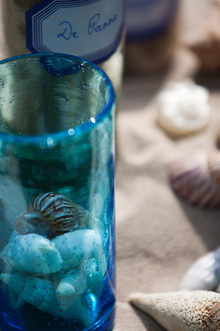 Maritime decoration and snail shells
