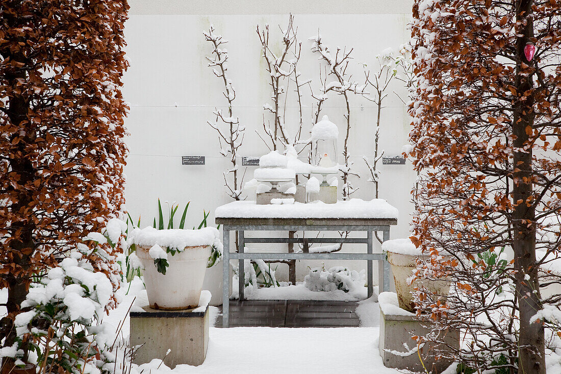 Snow-covered work table and plants in front of a white house wall