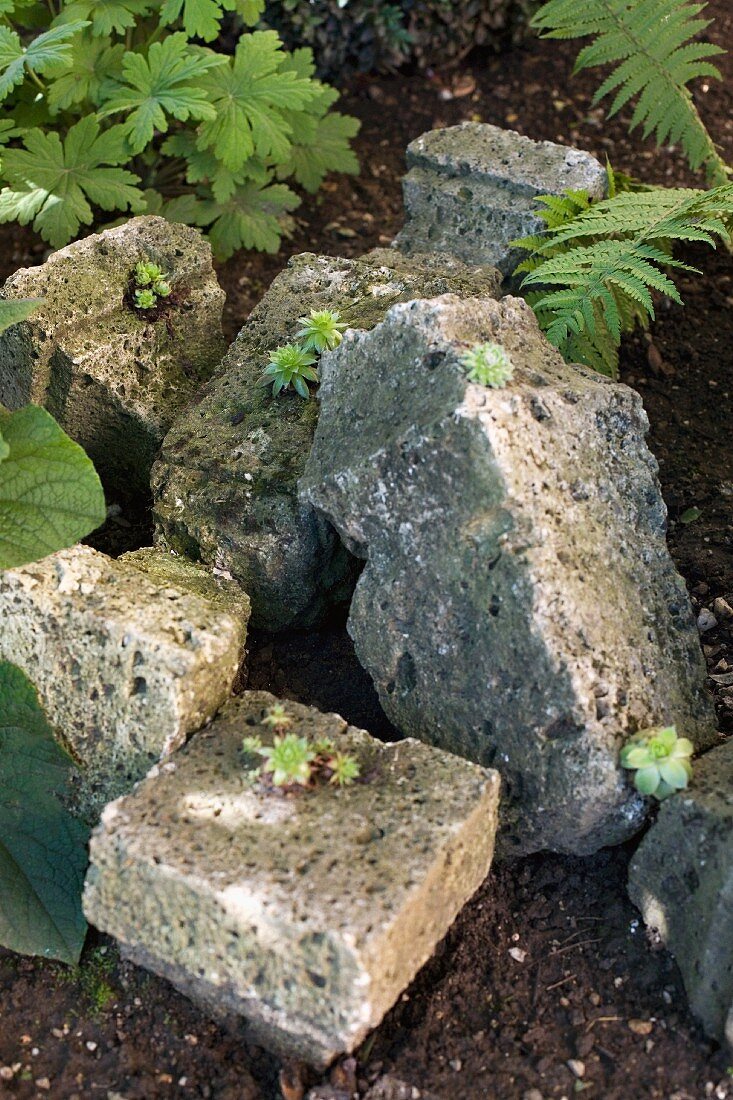 Bruchstücke einer alten Steinbalustrade als Steingarten