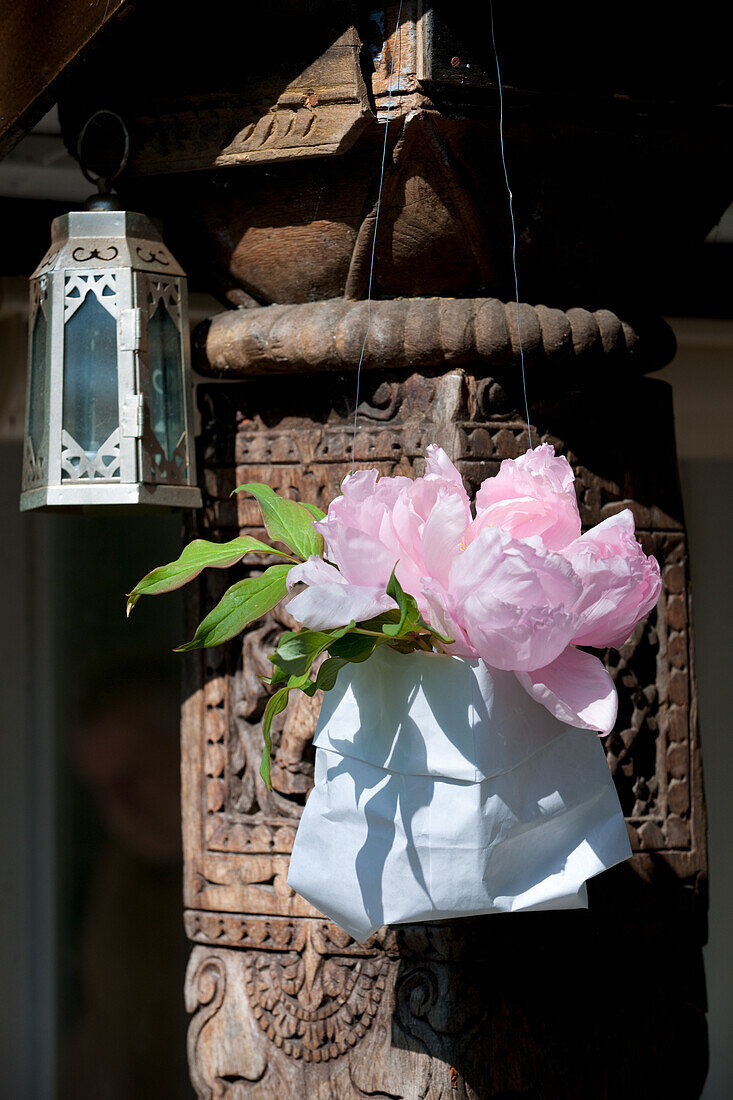 DIY hanging basket made from pink peonies (Paeonia) in a paper bag