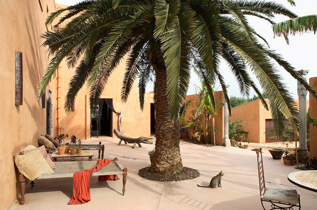 Palme in betoniertem Innenhof mit Sonnenliegen im orientalischen Stil