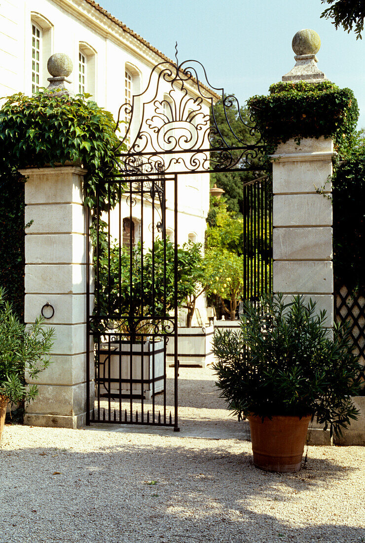 Wrought iron gate with ornaments at the entrance to a classical property