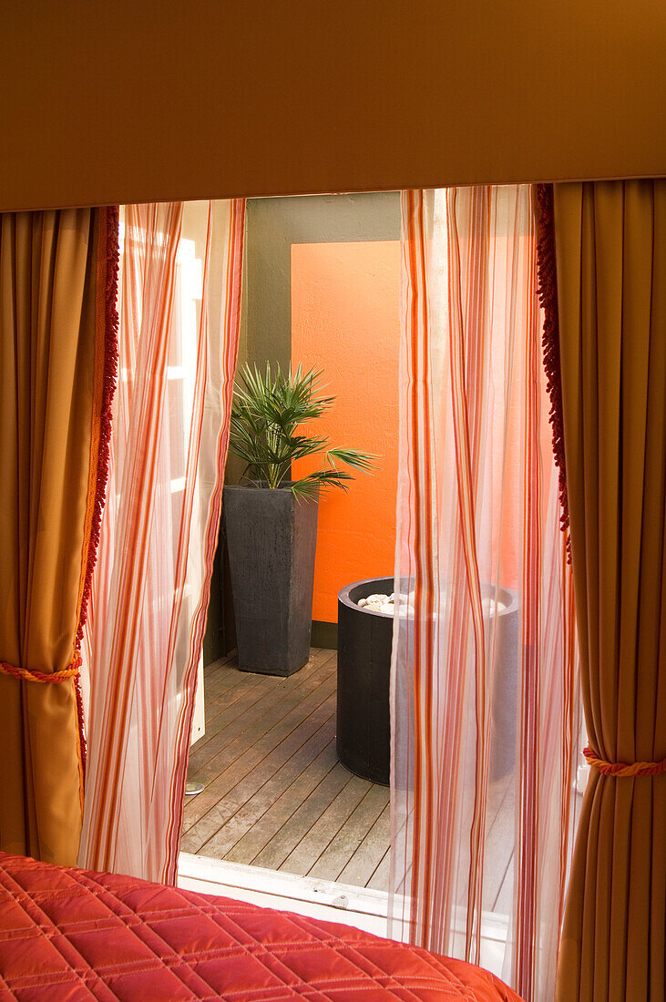 View from bedroom to terrace with potted plant and wall in orange