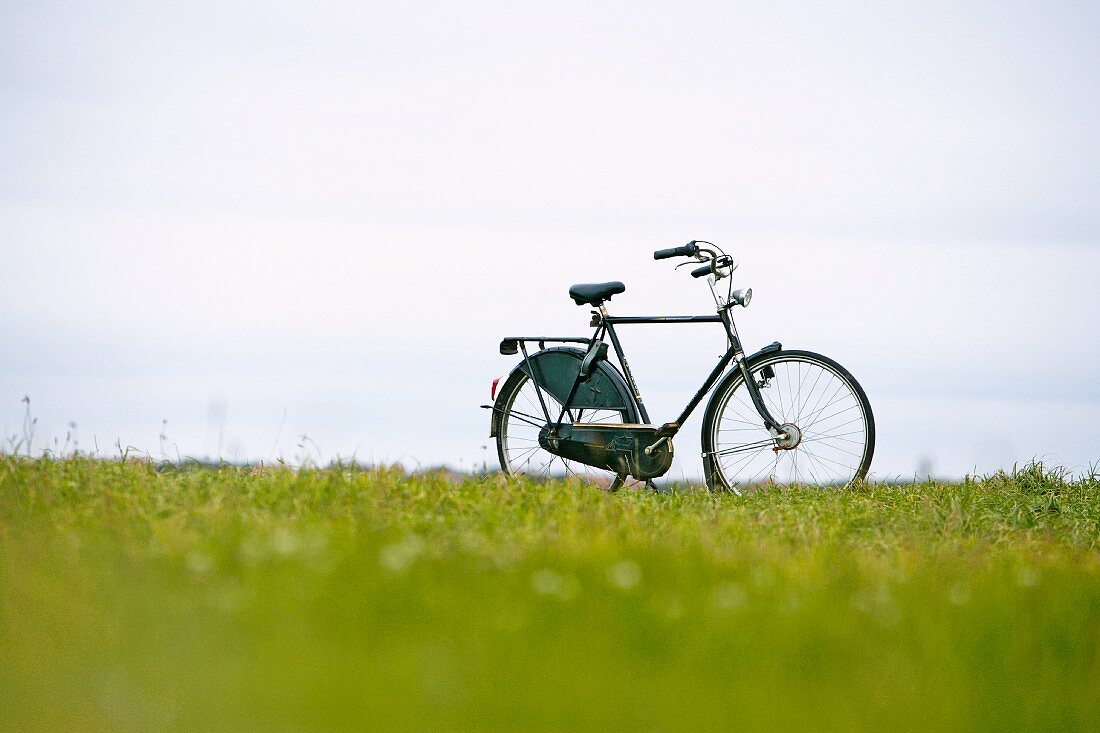 Bicycle in meadow in Holland