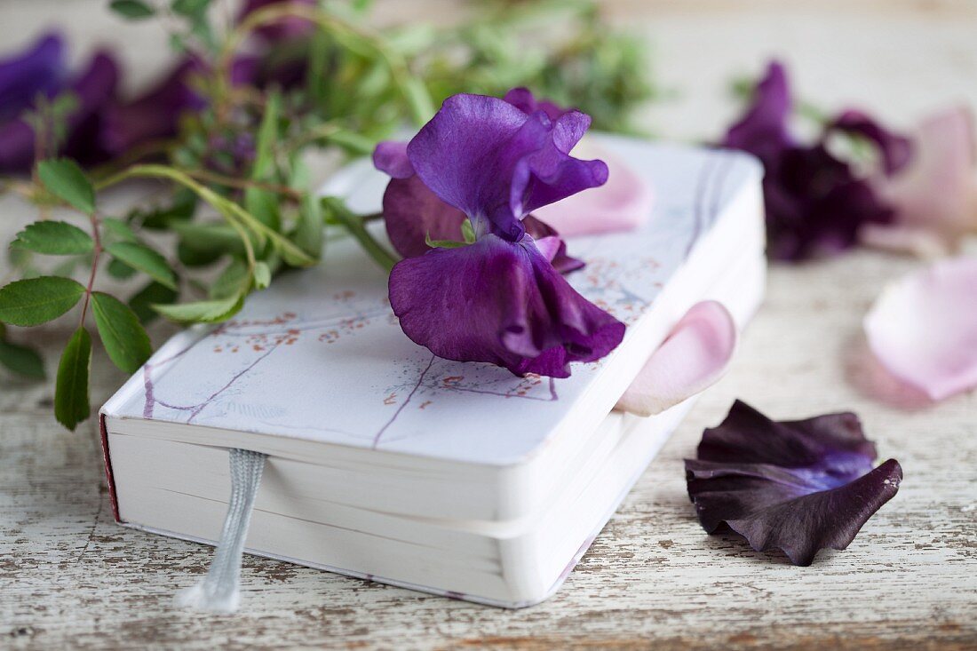 Book with sweet peas and rose petals