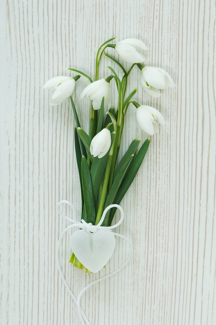 Snowdrops tied with heart-shaped pendant